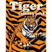 Tiger coloring book: 100 page amazing animal coloring book for your kids