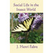 Social Life in the Insect World