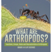 What are Arthropods? Functions, Groups, Roles and Characteristics of Arthropods Grade 6-8 Life Science