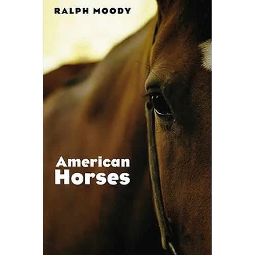 American Horses