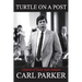 Turtle on a Post