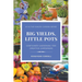 Big Yields, Little Pots: Container Gardening for Creative Gardeners