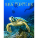 Sea Turtles: Amazing Pictures & Fun Facts on Animals in Nature
