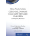 Czechoslovakia's Cold War Refugee Children: Contemporary Resonance