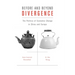 Before and Beyond Divergence