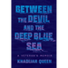 Between the Devil and the Deep Blue Sea: A Veteran's Memoir