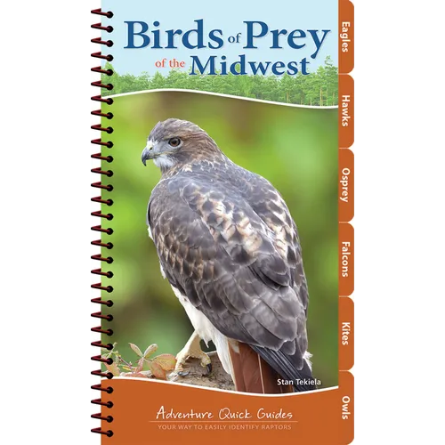 Birds of Prey of the Midwest: Your Way to Easily Identify Raptors