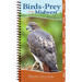 Birds of Prey of the Midwest: Your Way to Easily Identify Raptors