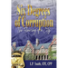 Six Degrees of Corruption - The Fleecing of a City