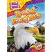 Bald Eagles