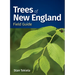 Trees of New England Field Guide