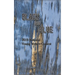 Black and Blue: 2019 National Young Writers Contest