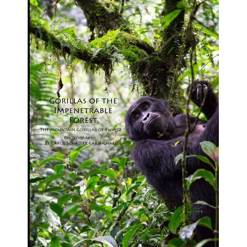 Gorillas of the Impenetrable Forest: The Mountain Gorillas of Bwindi