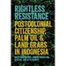 Rightless Resistance: Postcolonial Citizenship, Palm Oil, and Land Grabs in Indonesia