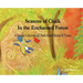 Seasons of Chalk In the Enchanted Forest: A Second Collection of Chalk Board Stories & Poems