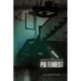 The Mammoth Mountain Poltergeist