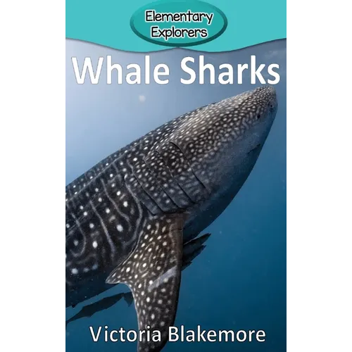 Whale Sharks