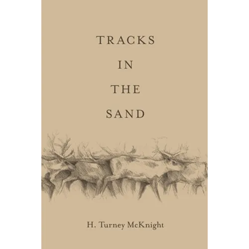 Tracks in the Sand