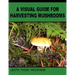 A Visual Guide for Harvesting Mushrooms