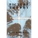 Picture Theory: Essays on Verbal and Visual Representation