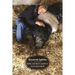 Kindred Spirits: One Animal Family