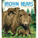 Brown Bears