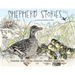 Shepherd Stories Volume 1