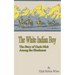 The White Indian Boy: The Story of Uncle Nick Among the Shoshones