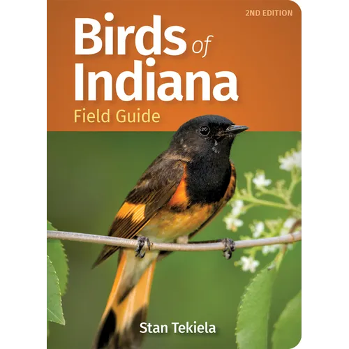 Birds of Indiana Field Guide