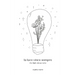 la luce vince sempre: the light always wins