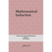 Mathematical Induction: A Self-Study Guide to Mathematics