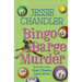 Bingo Barge Murder: Book 1 in the Shay O'Hanlon Caper Series