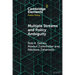 Multiple Streams and Policy Ambiguity