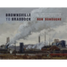 Brownsville to Braddock: Paintings and Observations of the Monongahela Valley