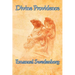 Divine Providence: A Classic Work of Christian Theology on Free Will, Evil, and Divine Order