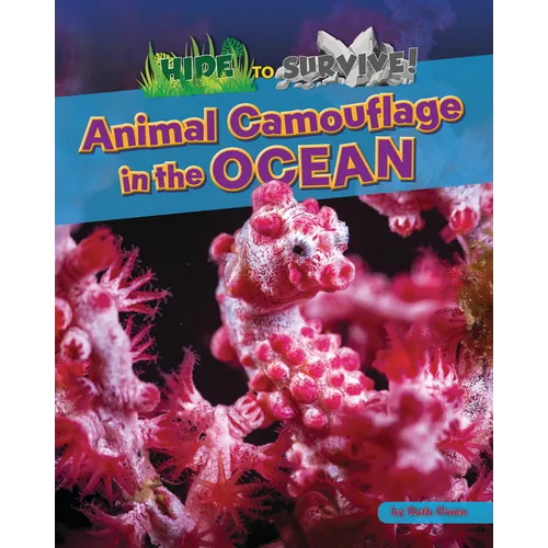 Animal Camouflage in the Ocean
