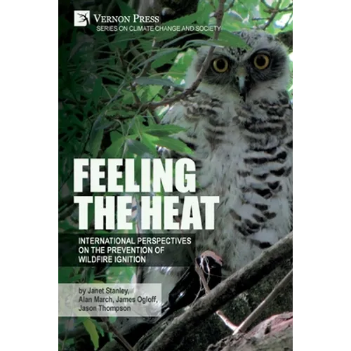 Feeling the heat: International perspectives on the prevention of wildfire ignition