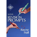 Novel Revision Prompts: Make Your Good Book Great - Self-Edit Your Plot, Scenes & Style