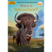 Where Is Yellowstone?