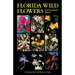 Florida Wild Flowers and Roadside Plants