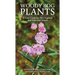 Woody Bog Plants: A Field Guide for New England and Adjacent Canada