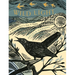 Wild Light: A Printmaker's Day, a Printmaker's Night
