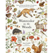 Watercolor in the Woods: Paint a Whimsical World of Forest Animals, Botanicals, Toadstools and More