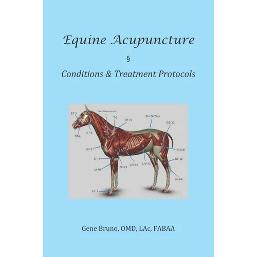 Equine Acupuncture - Conditions & Treatment Protocols