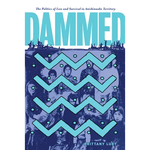 Dammed: The Politics of Loss and Survival in Anishinaabe Territory