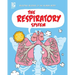 The Respiratory System