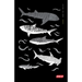 Diving Log Book: Sharks