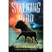 Stalking the Herd: Unraveling the Cattle Mutilation Mystery