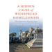A Hidden Cause of Widespread Homelessness: The Innovation-Ingenuity Gap
