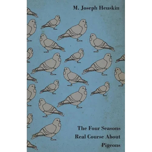 The Four Seasons Real Course about Pigeons